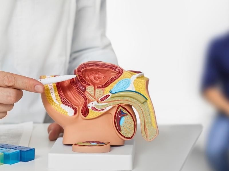 Tratamento Hiperplasia de Próstata