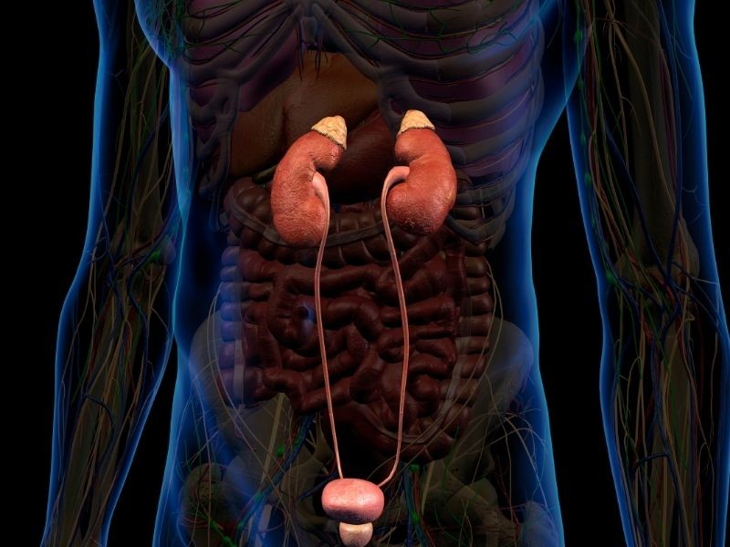 Tratamento Câncer de Ureter