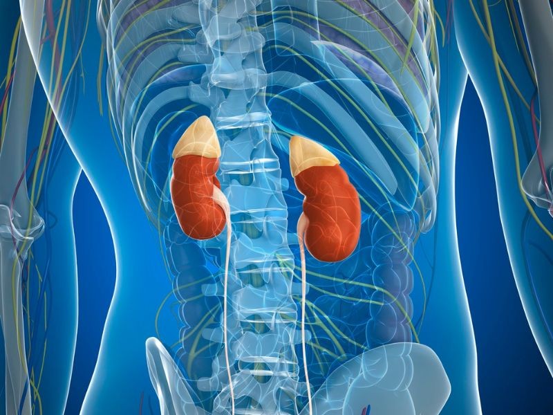 Tratamento Tumor da Glândula Adrenal